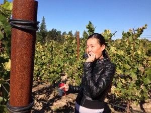 Jenytriesgrapes2-300x225