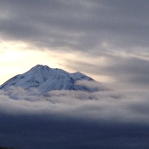 Mt. Shasta